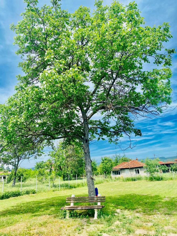 Caravans 10 Min To Tsonevo Lake & 35 Min To Black Sea מראה חיצוני תמונה